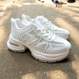Sneakers paris